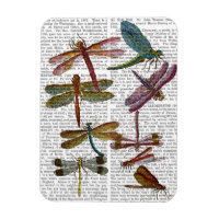 Dragonfly Print 4