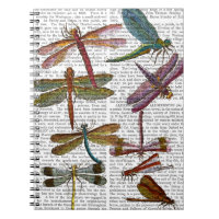 Dragonfly Print 4