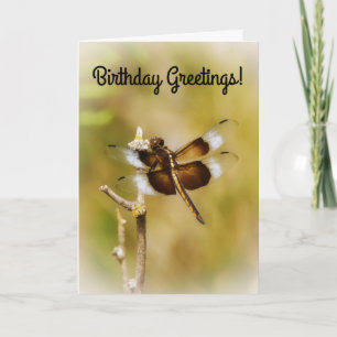 Dragonfly Resting Art Birthday Card