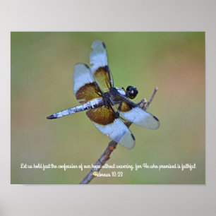 Dragonfly Scripture Photographic Art Print