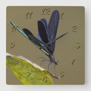 Dragonfly Square Wall Clock