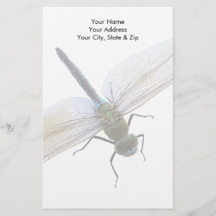 Dragonfly Stationery