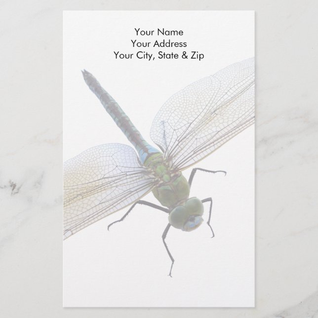 Dragonfly Stationery (Front)