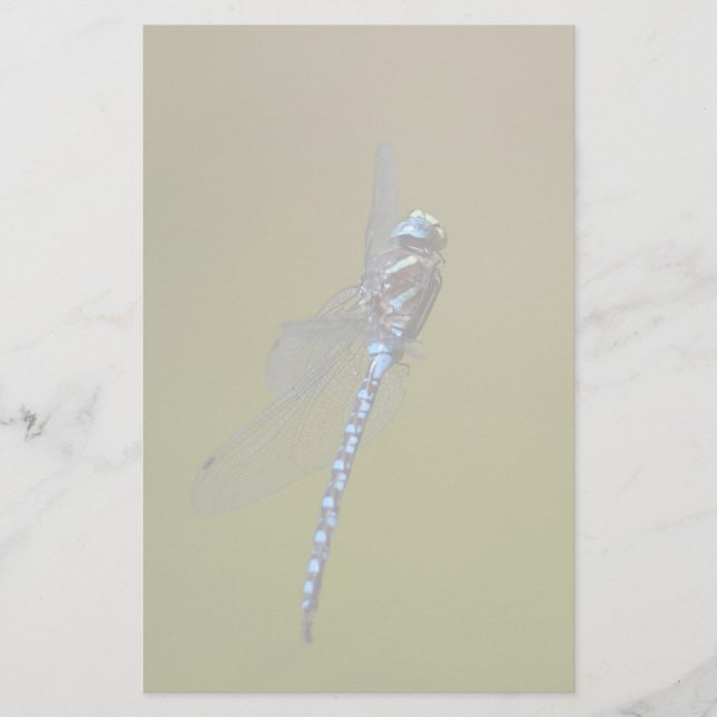 dragonfly stationery (Front)