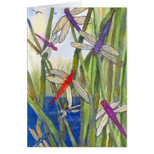 Dragonfly Summer