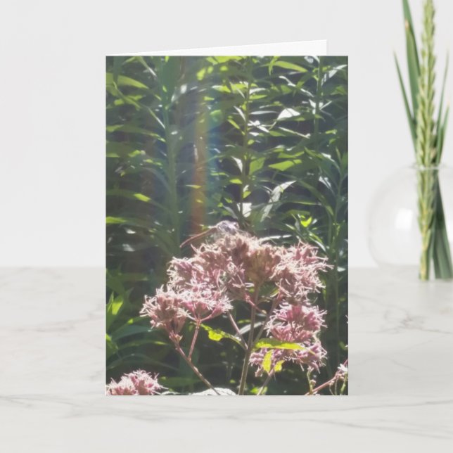 dragonfly sympathy card (Front)