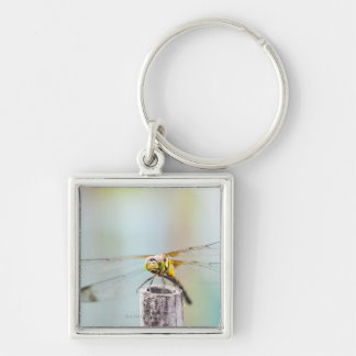 Dragonfly (Sympetrum infuscatum) 2 Key Ring