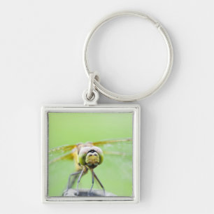 Dragonfly (Sympetrum infuscatum) Key Ring