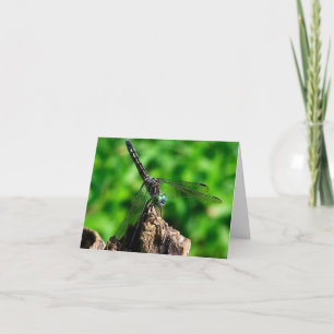 Dragonfly Up Close Nature Photography Note Card