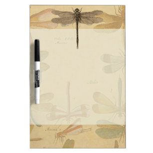 Dragonfly Vintage Antique Classic Nature Dry Erase Board