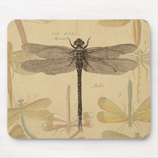 Dragonfly Vintage Antique Classic Nature Mouse Pad (Front)