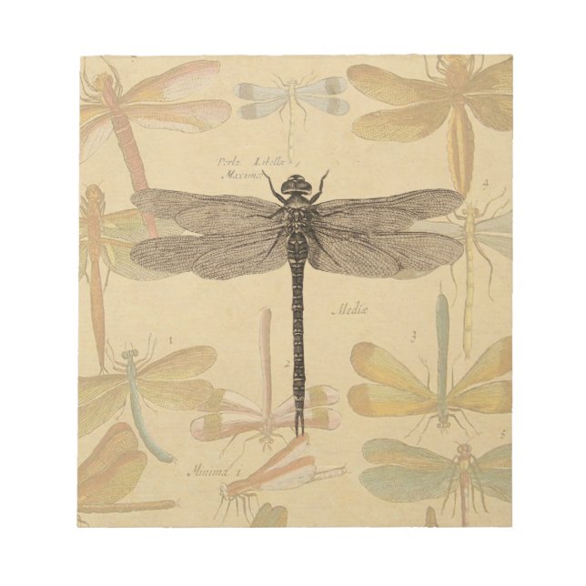 Dragonfly Vintage Antique Classic Nature Notepad (Front)