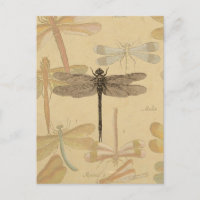 Dragonfly Vintage Antique Classic Nature