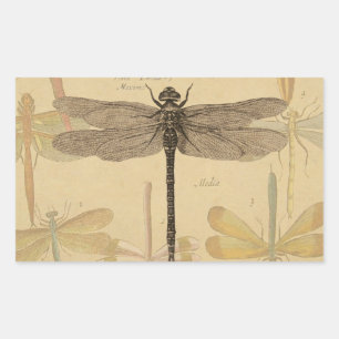 Dragonfly Vintage Antique Classic Nature Rectangular Sticker