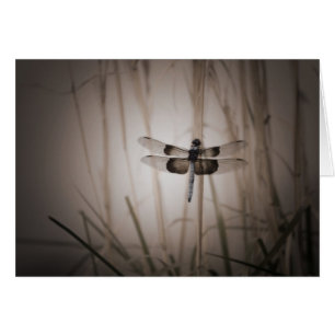 Dragonfly - Vintage look