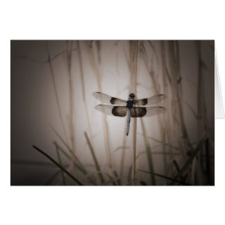 Dragonfly - Vintage look