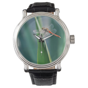 Dragonfly Watch