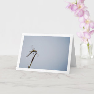 Dragonfly with Cane Stick Card