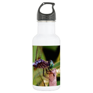 Dragonfly with white flowers 532 ml water bottle