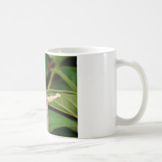 Dragonfly with white flowers coffee mug