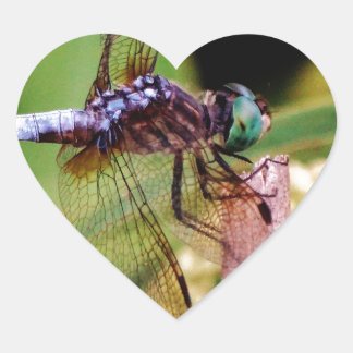Dragonfly with white flowers heart sticker