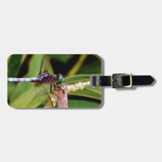 Dragonfly with white flowers luggage tag