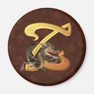 Dragonlore Initial Z Magnet