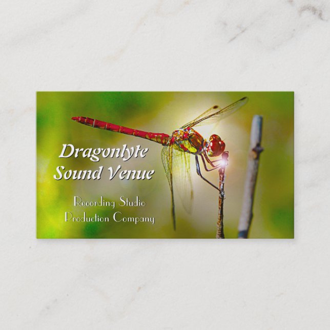 Dragonlyte Cool Professional Business Card (Front)