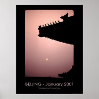 Dragons - Beijing 2001