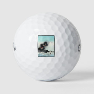 Dragon's Fury Sea Battle for Mount Fuji, Japan Golf Balls