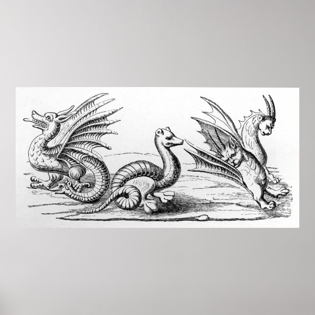 Dragons Poster (Front)