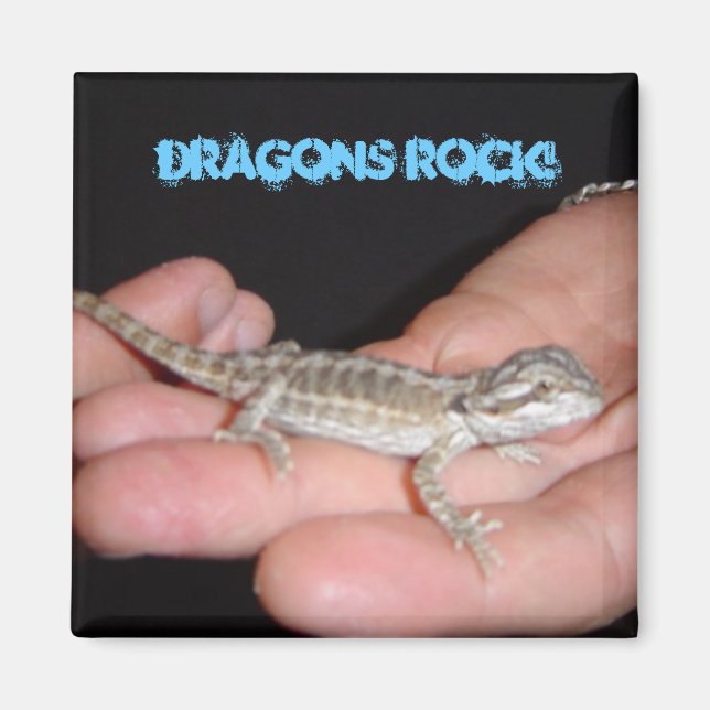 Dragons Rock My World Magnet (Front)