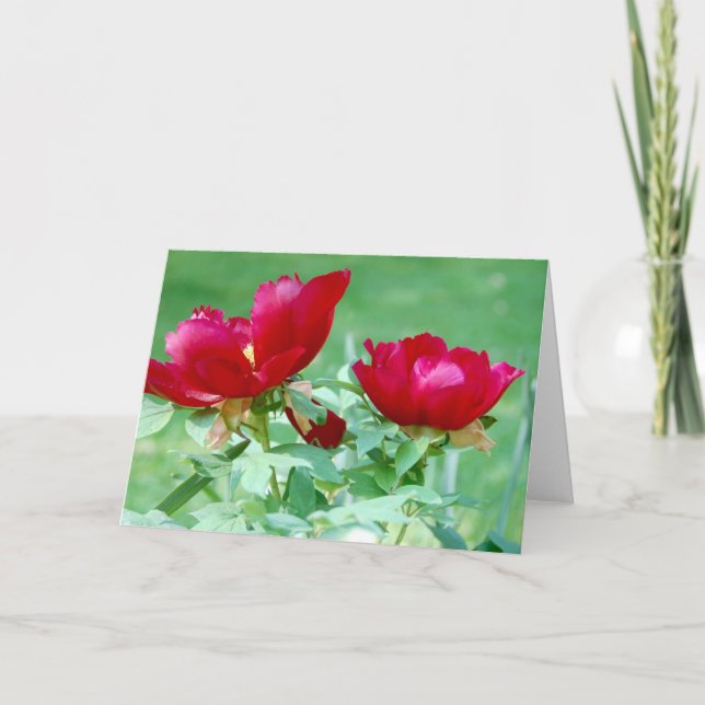 Dragons, Tigers and Peonies V Card (Front)