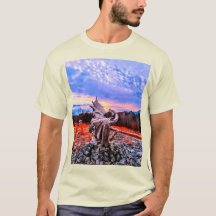 Dragonware and  Kidtastic designs