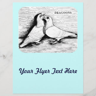 Dragoon Pigeons White Pair Flyer