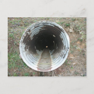 Drain Pipe Postcard