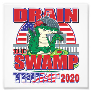 Drain The Swamp Trump 2020 Photo Print