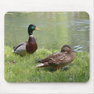 Drake and duck in the wild mouse pad