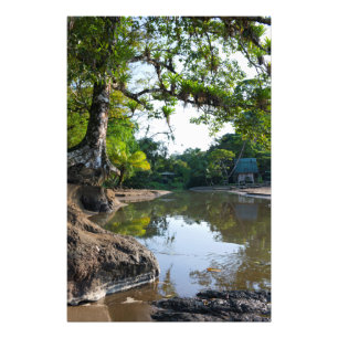 Drake Bay Inlet Photo Print
