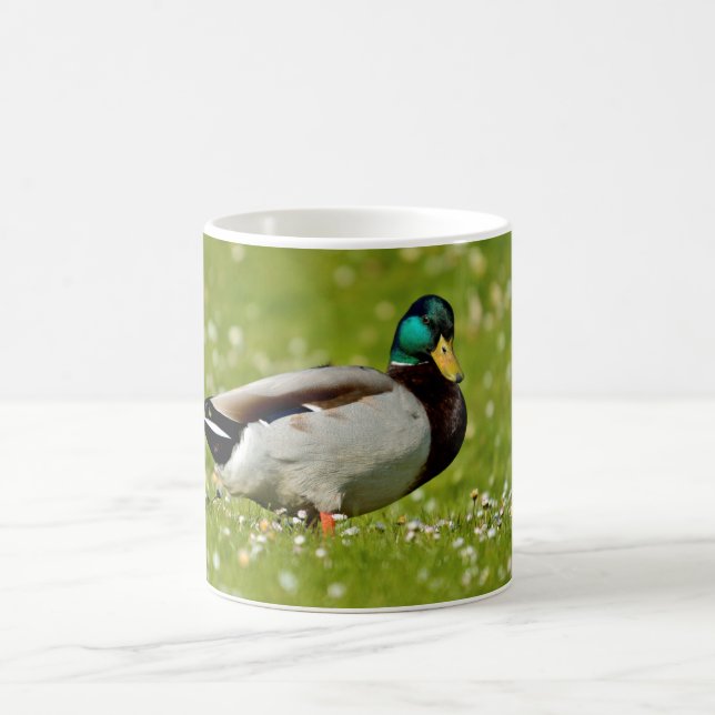 Drake mallard on grass coffee mug (Center)