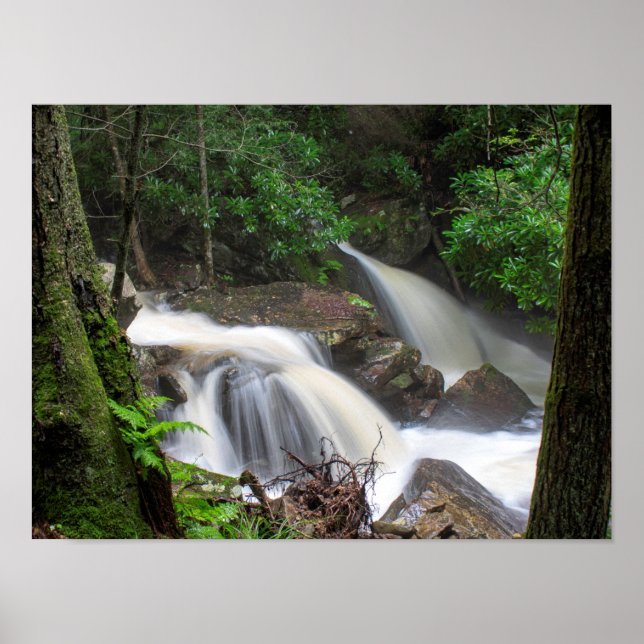 Drakes Creek Falls Poster (Front)