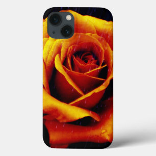 Drama Of The Orange Rose iPad Case