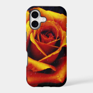 Drama Of The Orange Rose iPhone 5 Case