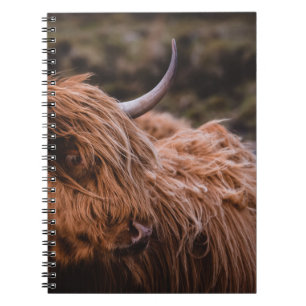 DRAMATIC AND MOODY LANDSCAPES INSPIRED BY THE NATU NOTEBOOK