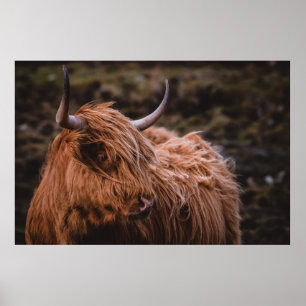 DRAMATIC AND MOODY LANDSCAPES INSPIRED BY THE NATU POSTER