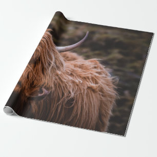 DRAMATIC AND MOODY LANDSCAPES INSPIRED BY THE NATU WRAPPING PAPER