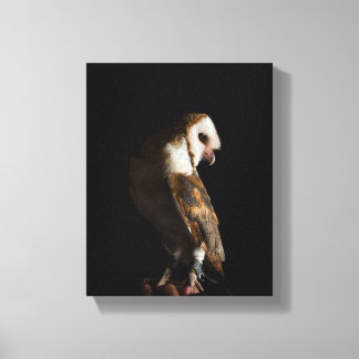 Dramatic Barn Owl Portrait in the Dark Canvas Print