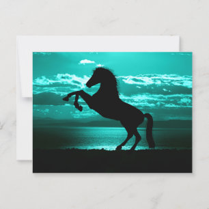 Dramatic Black Horse Teal Sky Peaceful Postcard