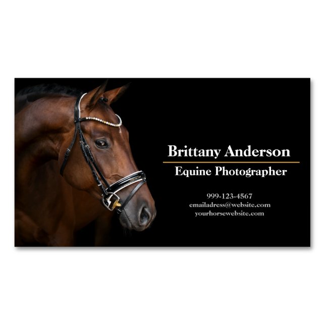 Dramatic Black Minimal Horse/Equine Photographer   Magnetic Business Card (Front)