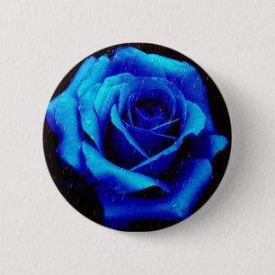 Dramatic Blue Rose 6 Cm Round Badge